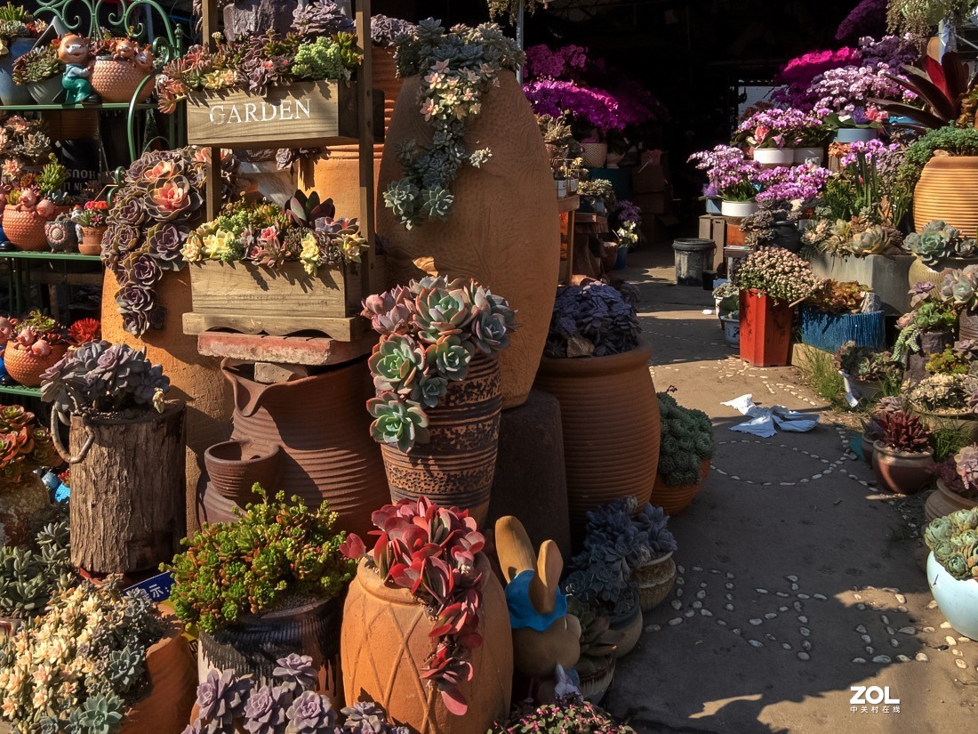 人家摆放得密密匝匝