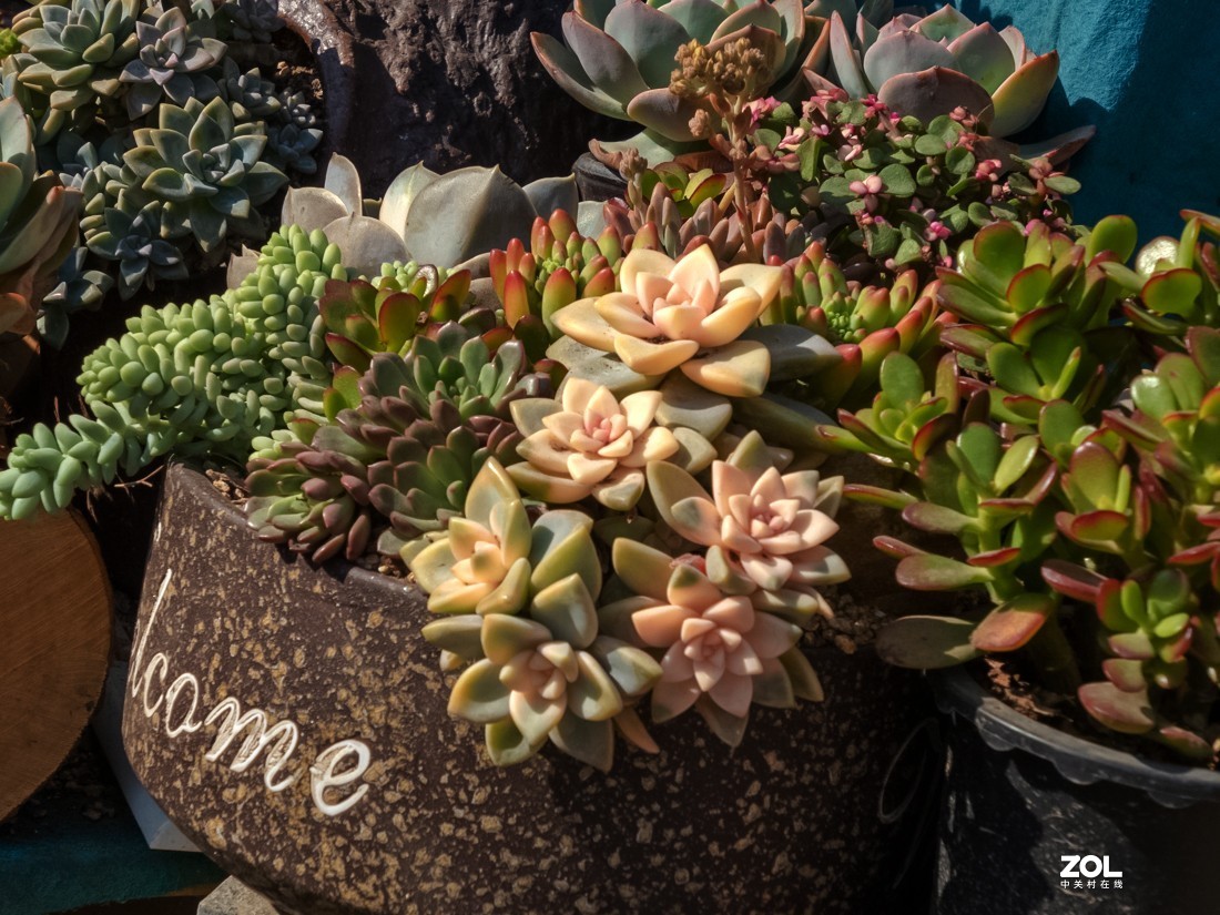 人家摆放得密密匝匝