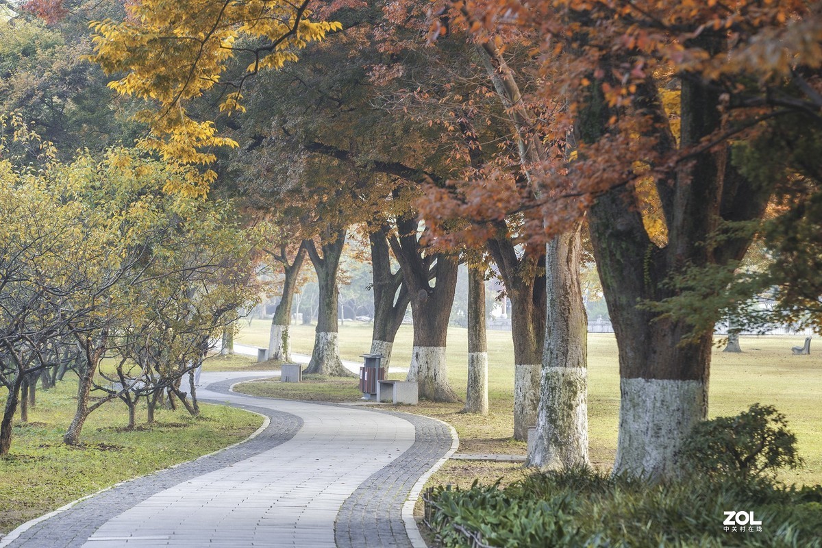 南京最美600米---石象路