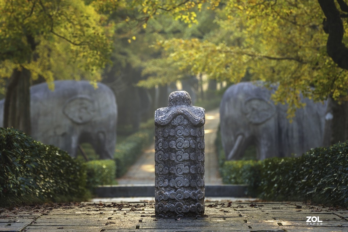 南京最美600米---石象路