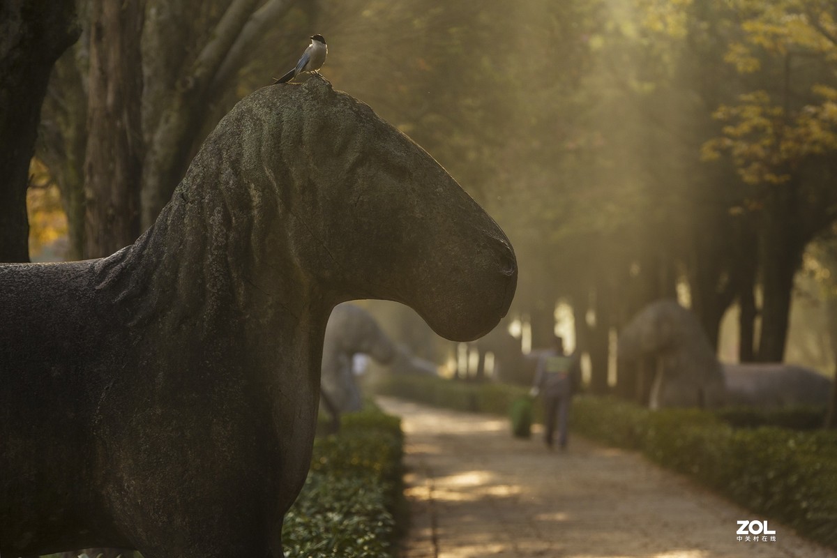 南京最美600米---石象路