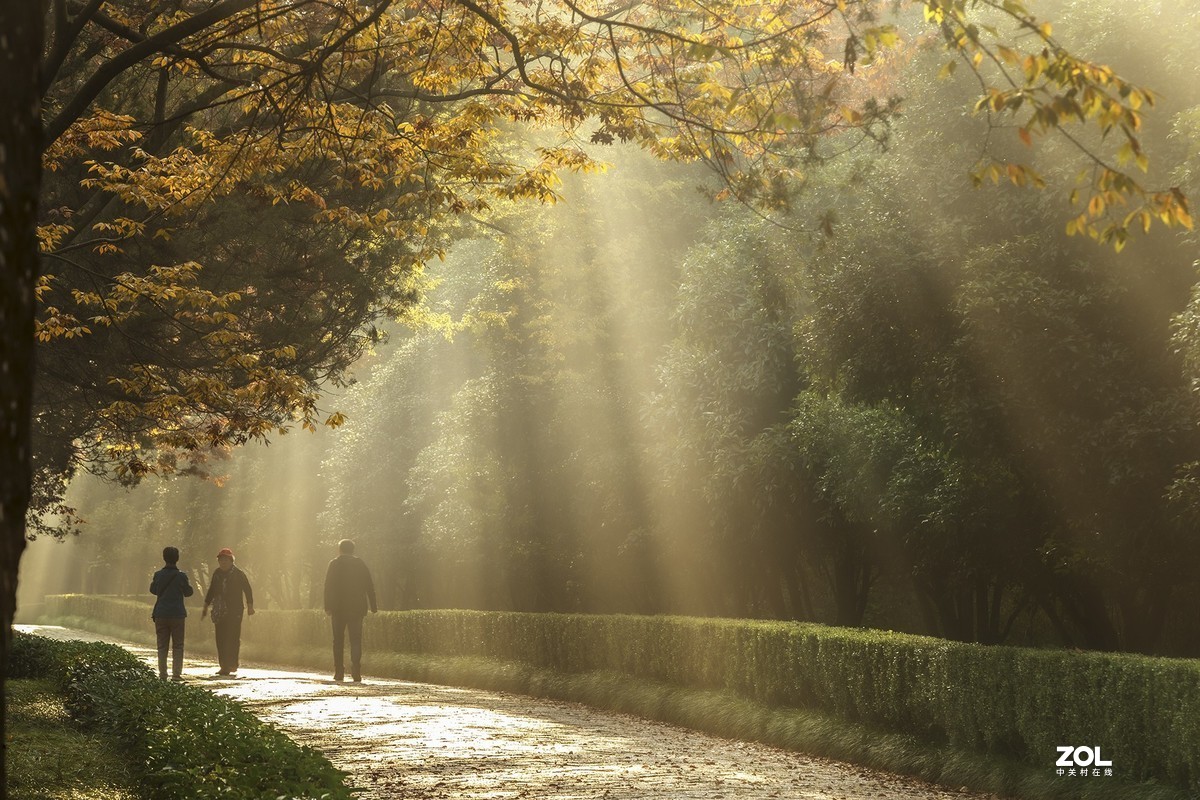 南京最美600米---石象路