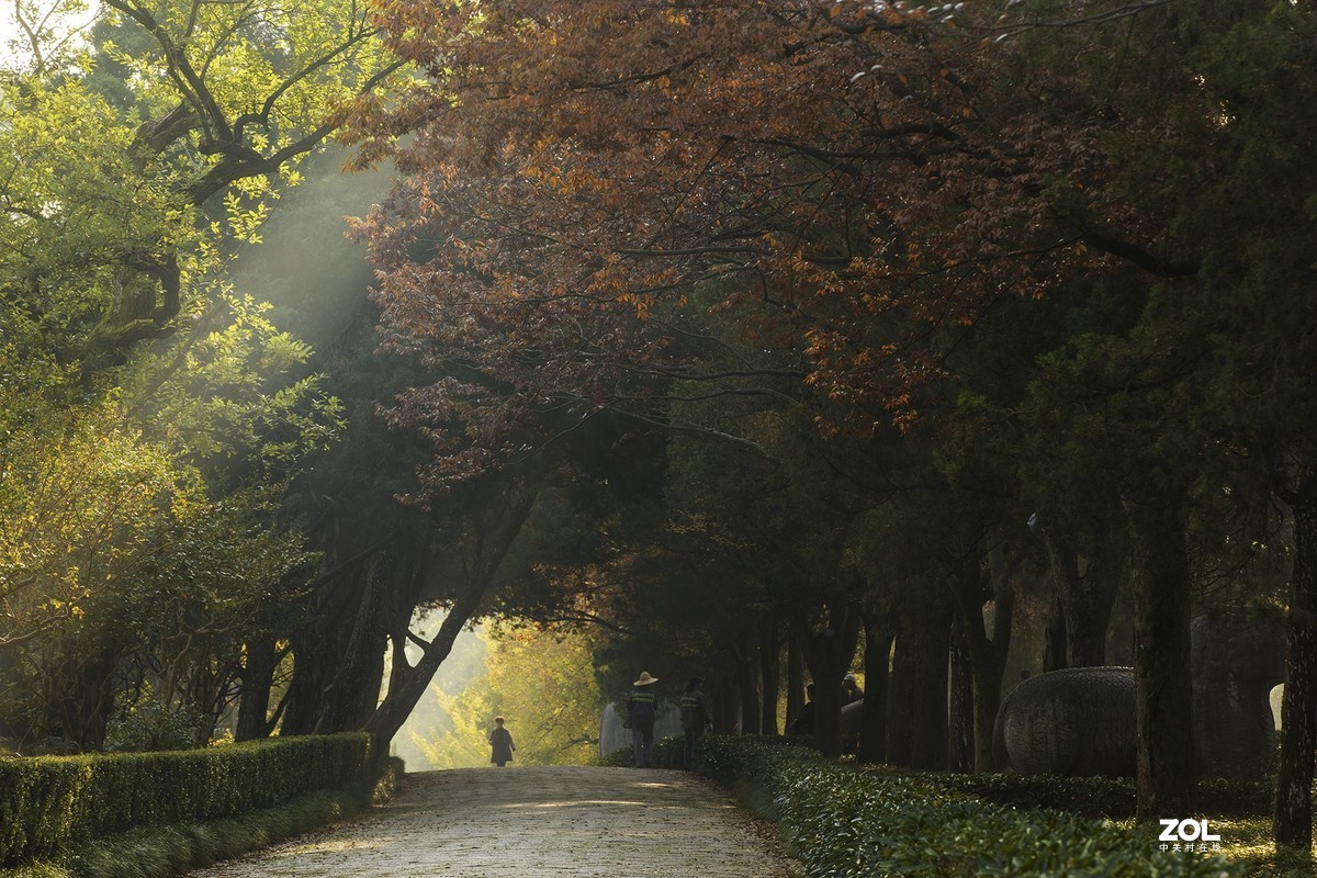 南京最美600米---石象路