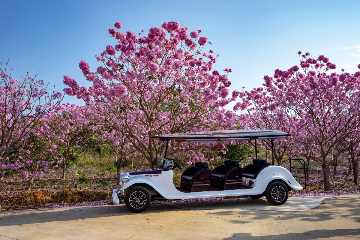 广东新会《绿美生态园》