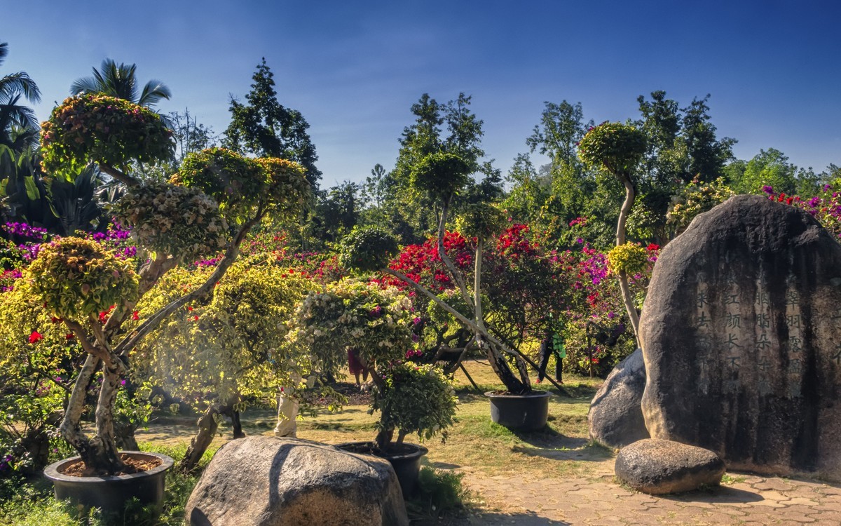 西双版纳 (景洪)热带花卉园(2)-中关村在线摄影论坛