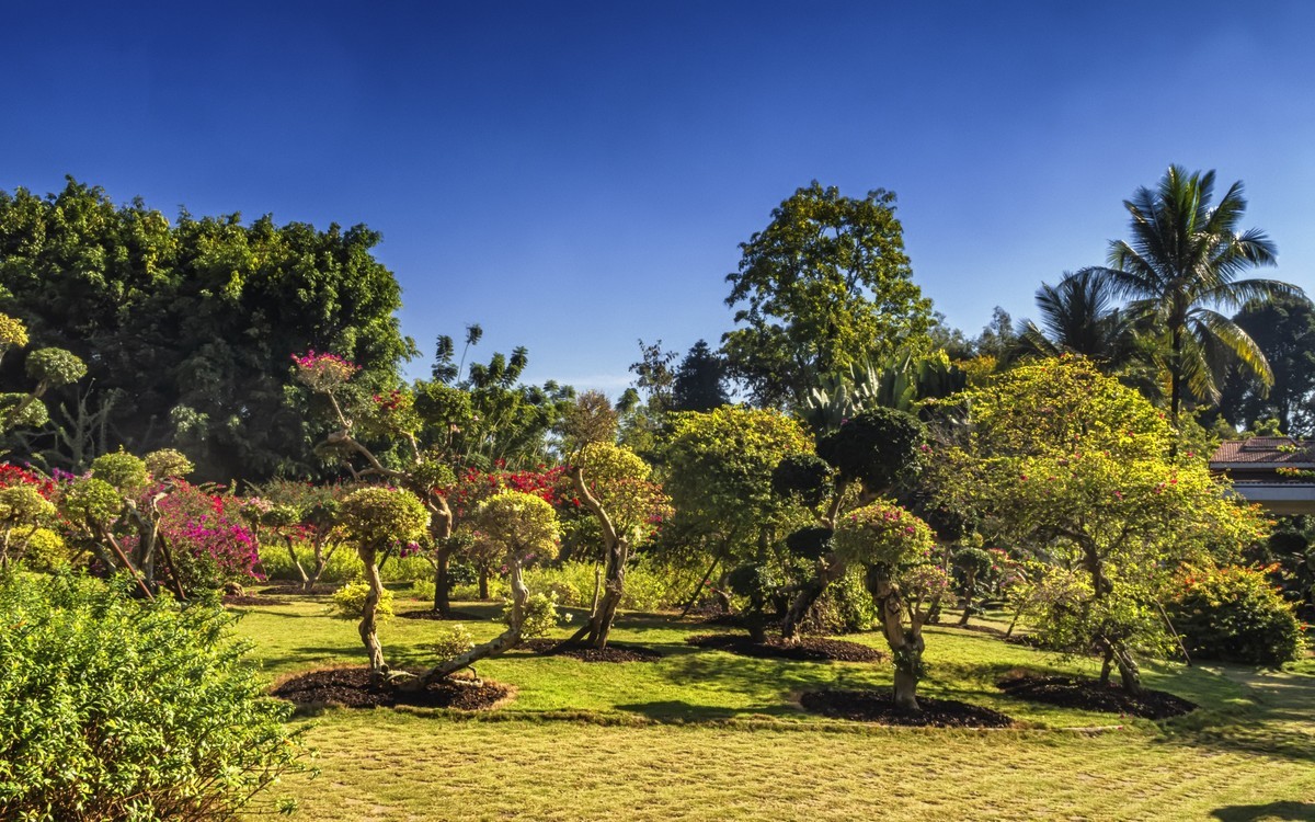 西双版纳景洪热带花卉园2
