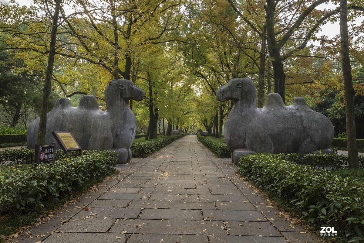 南京最美600米---石象路