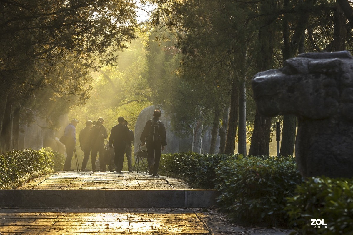 南京最美600米---石象路