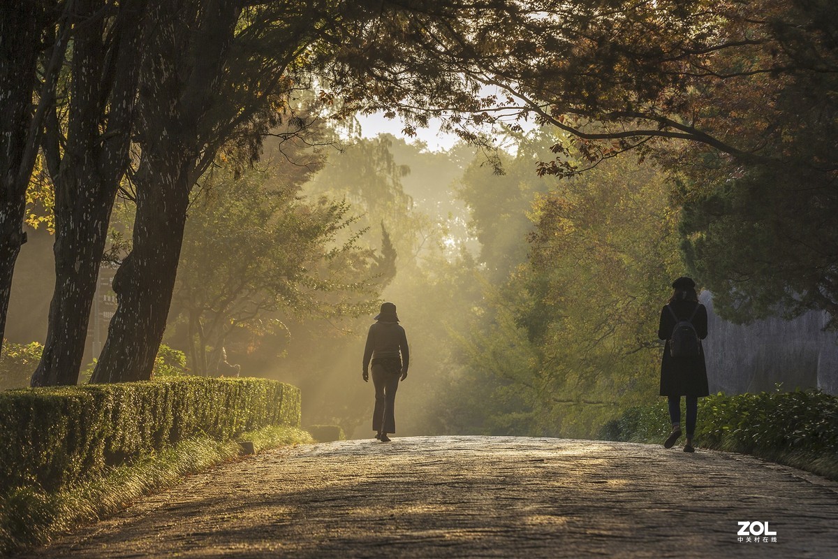 南京最美600米---石象路