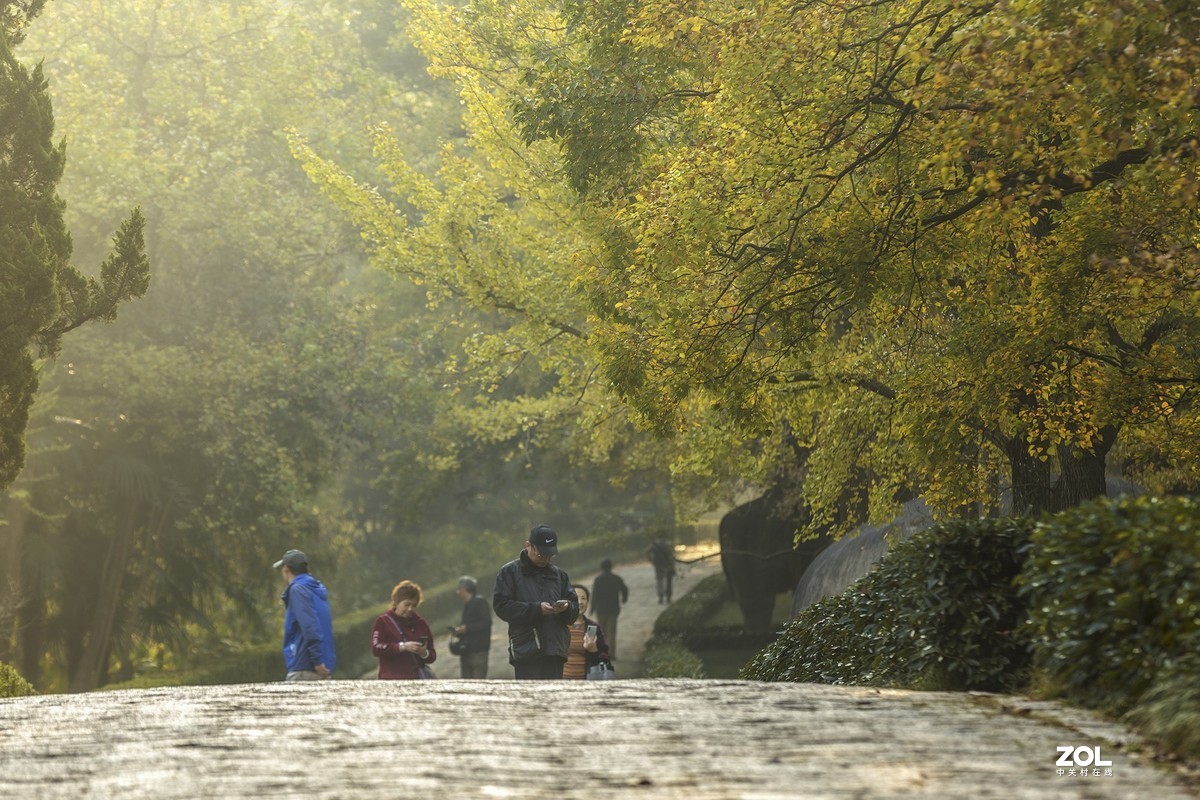 南京最美600米---石象路