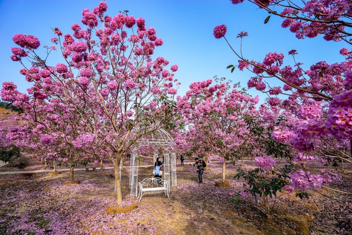 广东新会《绿美生态园》