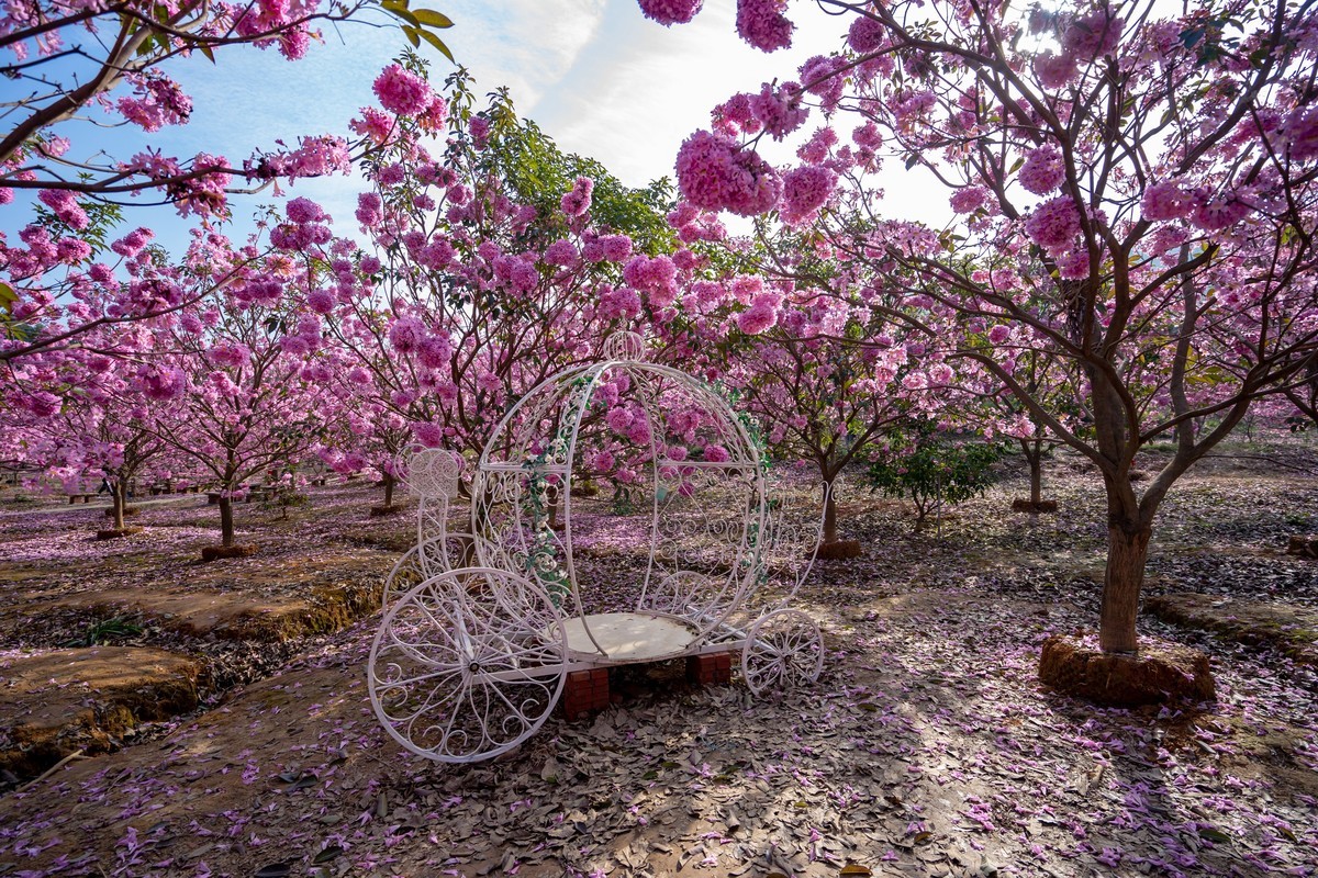 广东新会《绿美生态园》