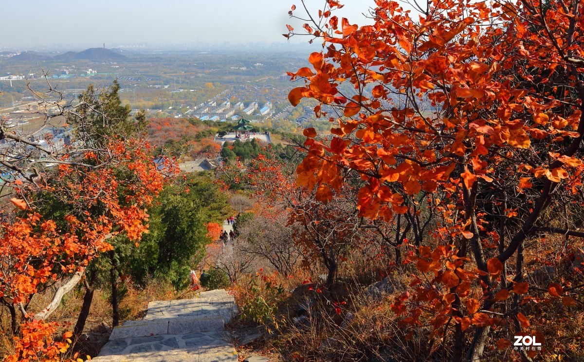 西山森林公园红叶谷