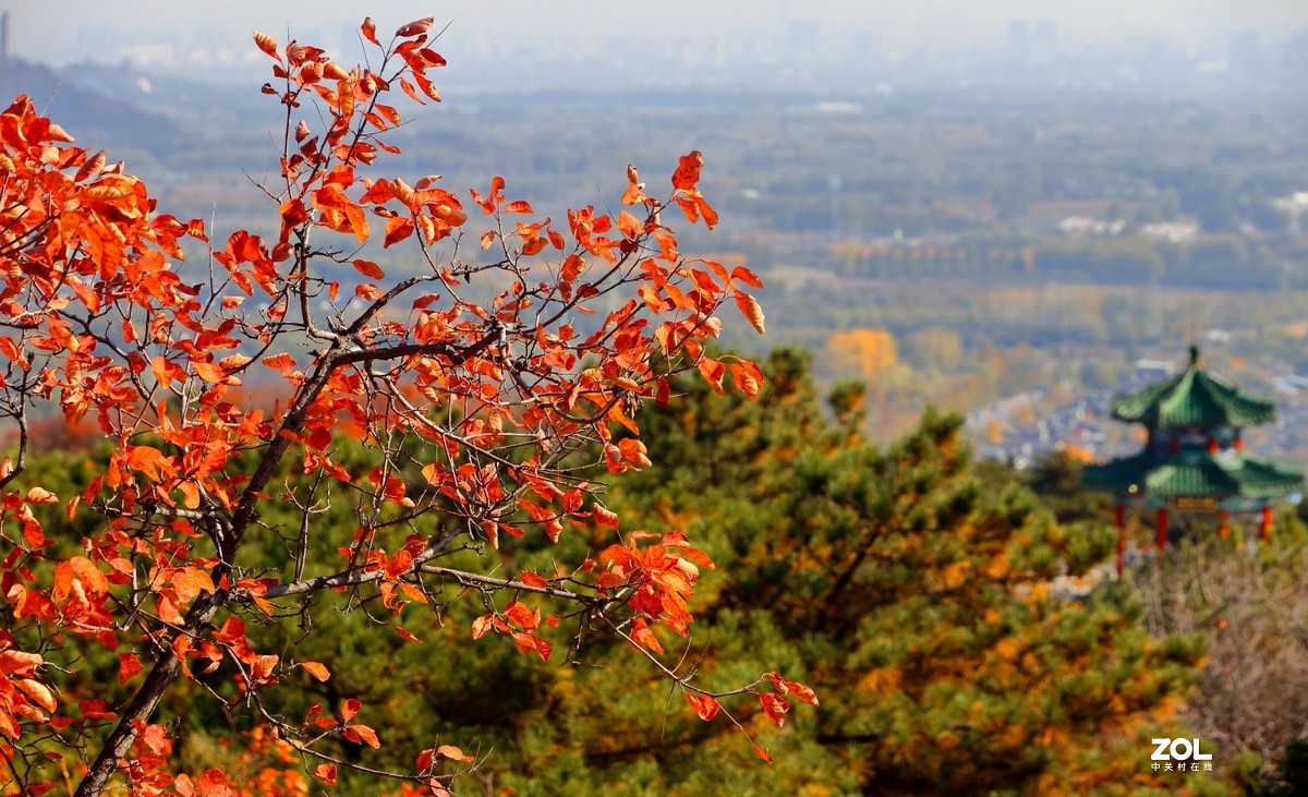 西山森林公园红叶谷