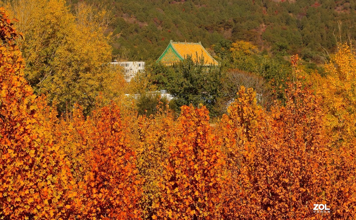 西山森林公园红叶谷