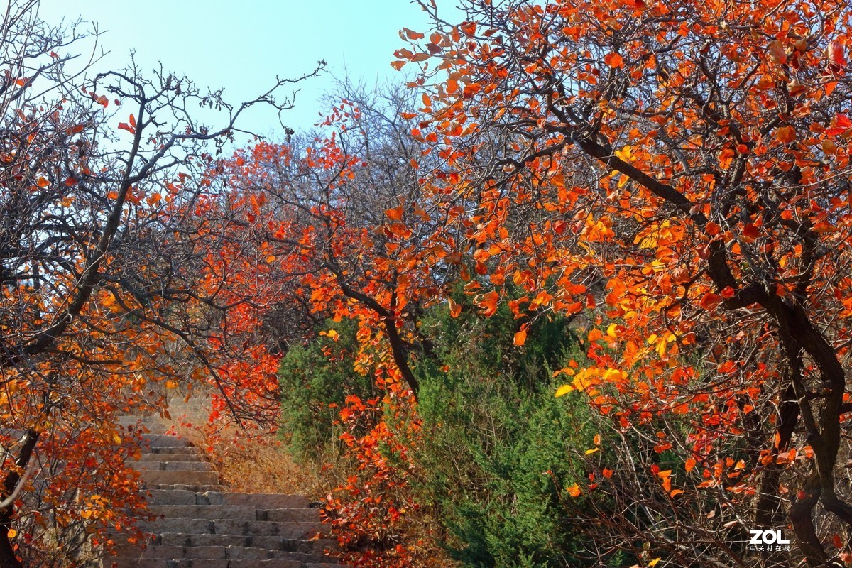 西山森林公园红叶谷