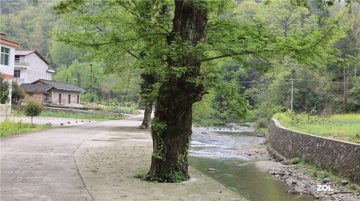 32mm f1.4 发一贴，心在山水间，带孩子去爬山