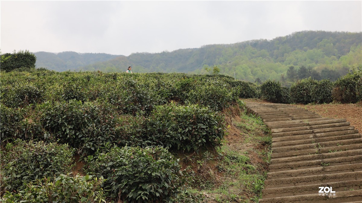 32mm f1.4 发一贴，心在山水间，带孩子去爬山