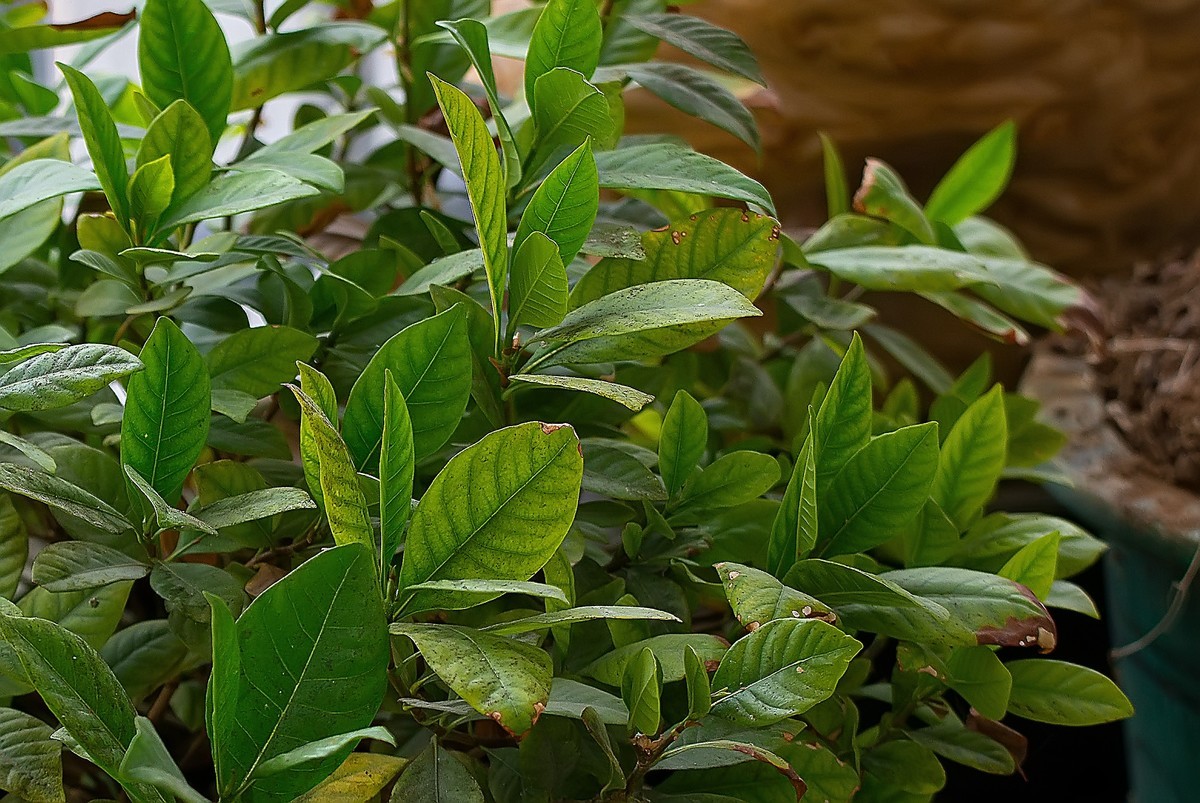 换购了150-600 C版，当天试机，感觉真值