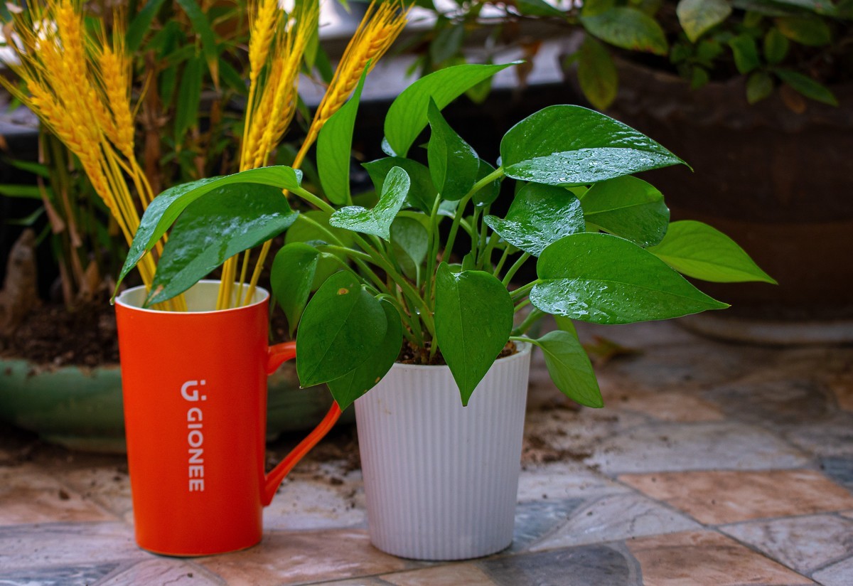 换购了150-600 C版，当天试机，感觉真值