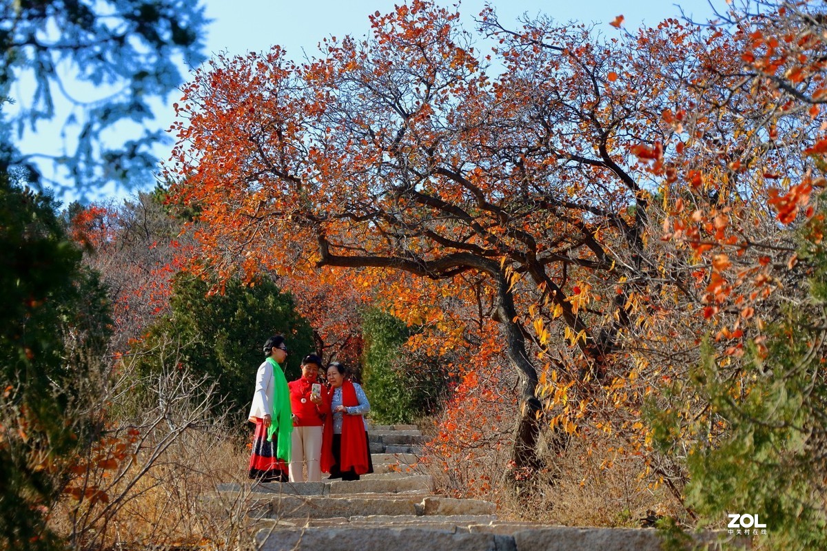 西山森林公园红叶谷