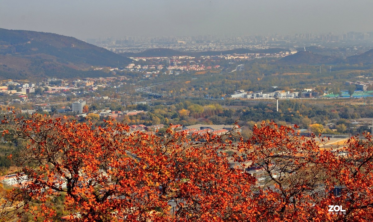 西山森林公园红叶谷