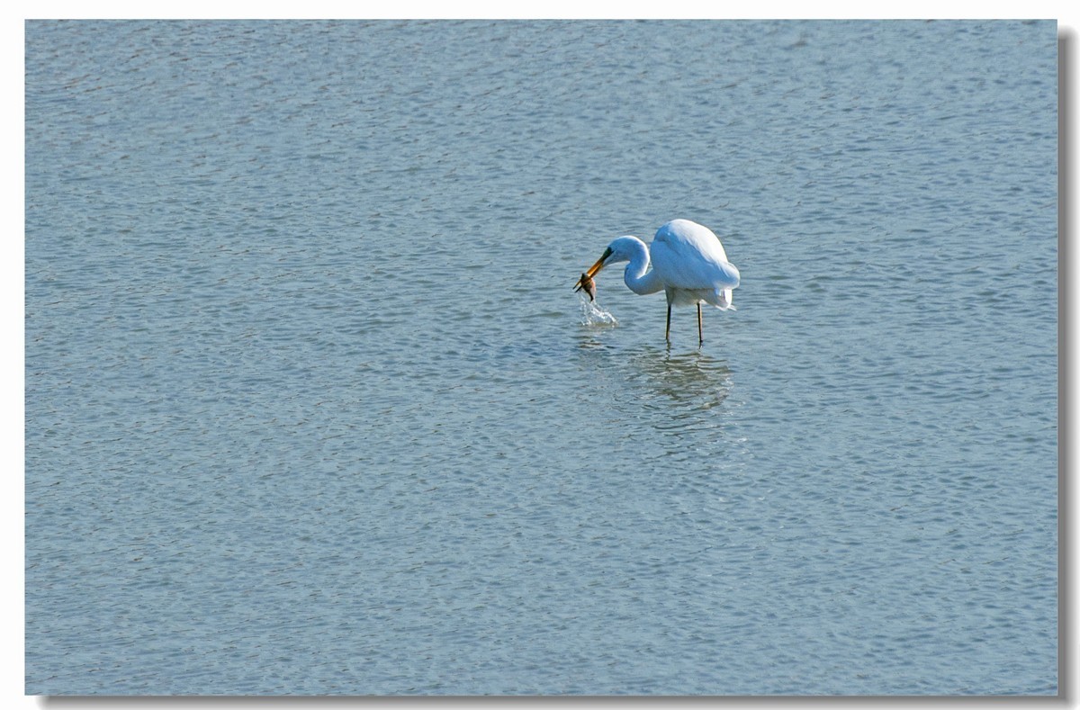 龙湖秋色（十八）