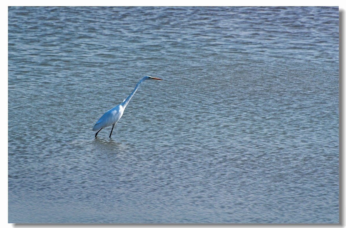 龙湖秋色（十八）