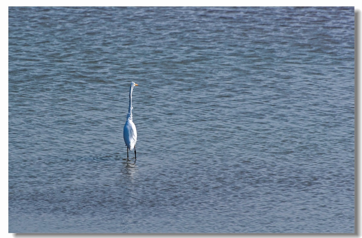 龙湖秋色（十八）