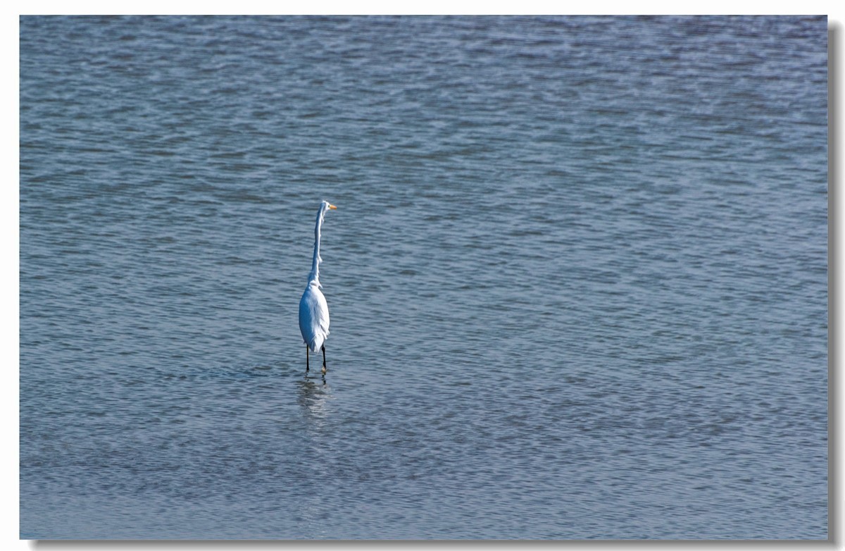 龙湖秋色（十八）