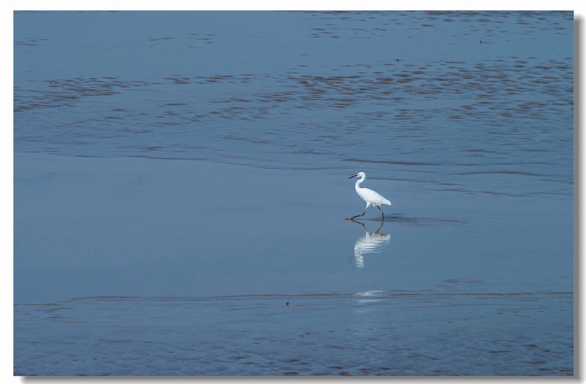 龙湖秋色（十八）