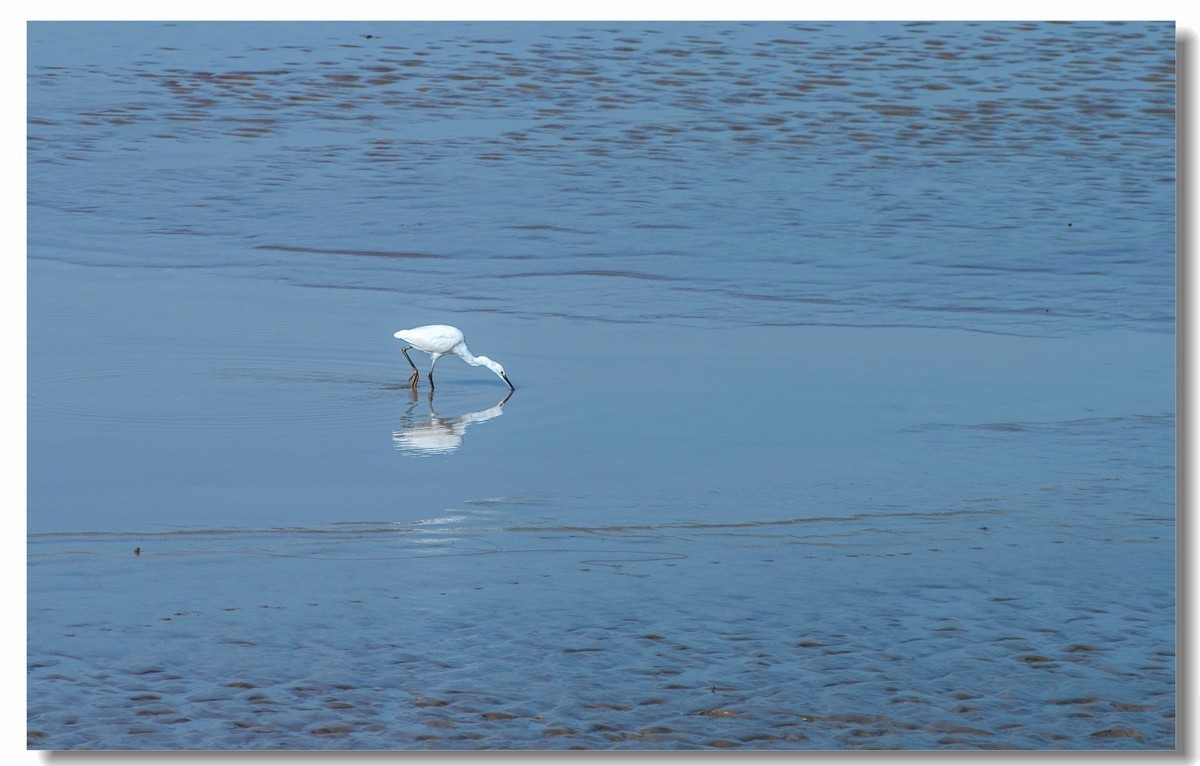龙湖秋色（十八）