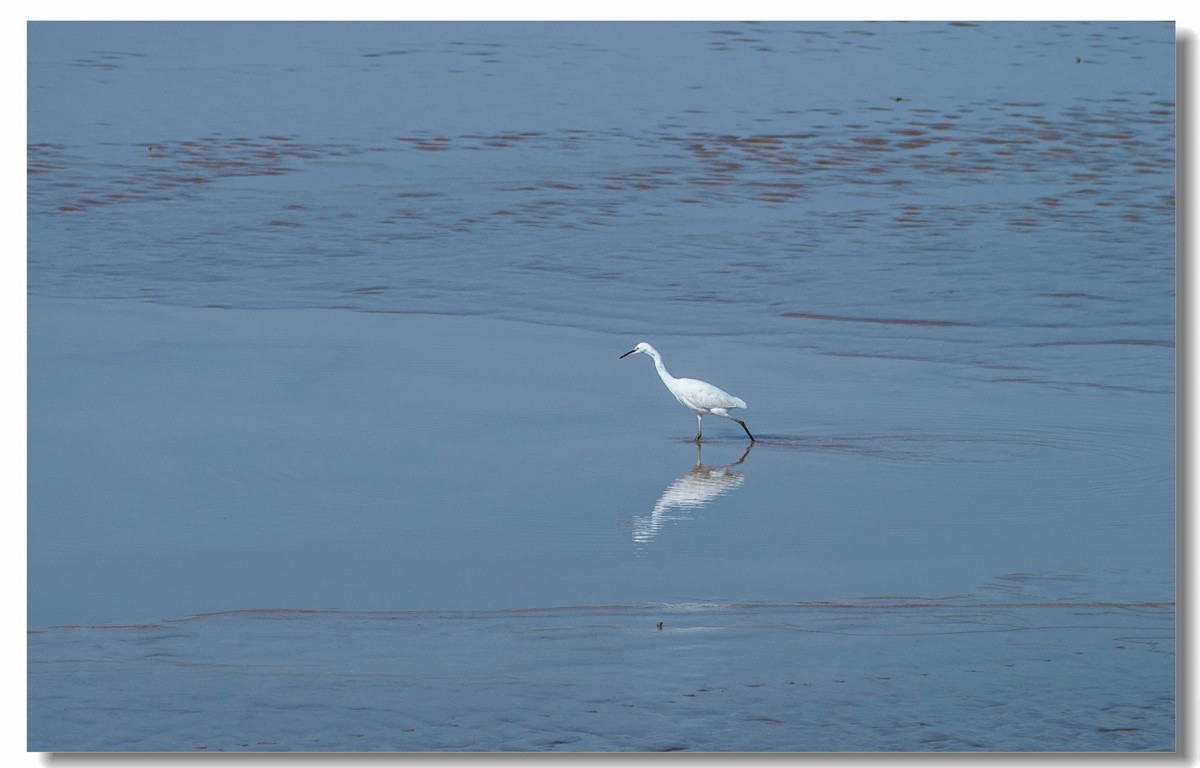 龙湖秋色（十八）