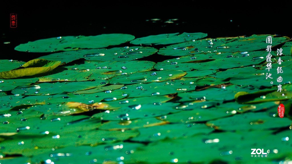 浮香绕曲岸，圆影覆华池。
