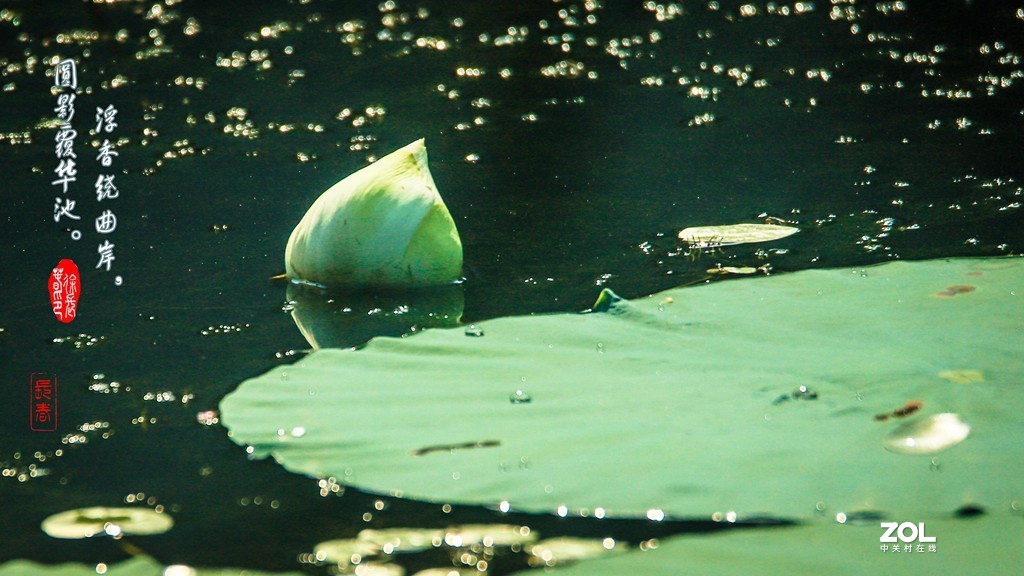 浮香绕曲岸，圆影覆华池。