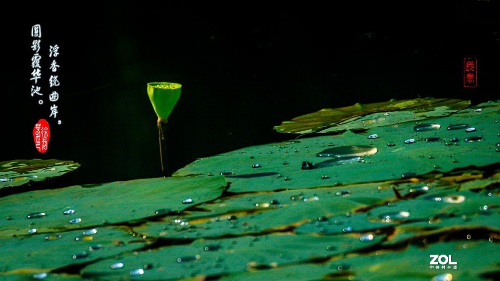 浮香绕曲岸，圆影覆华池。