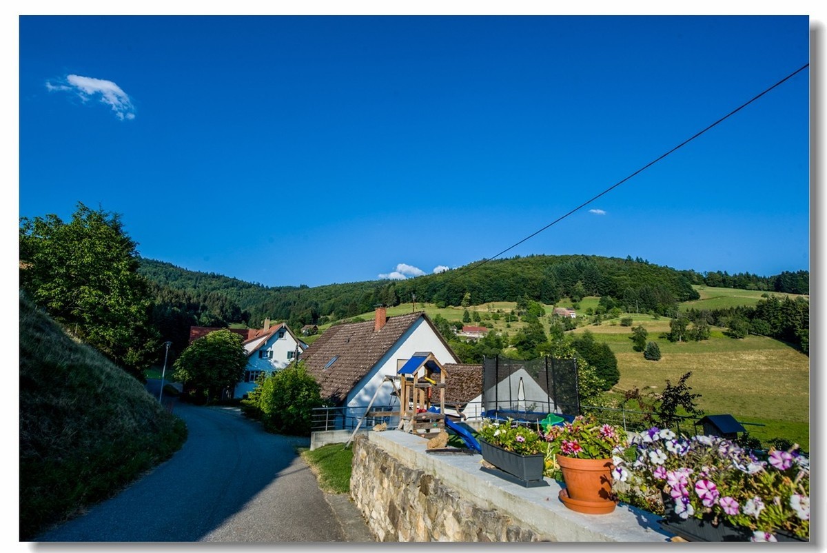 “田园交响乐”（德）