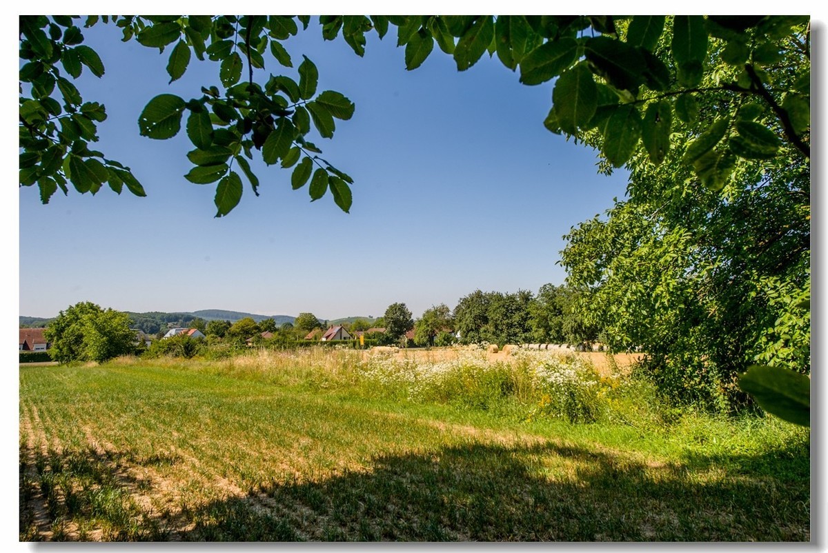 “田园交响乐”（德）
