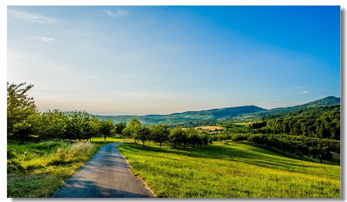 “田园交响乐”（德）