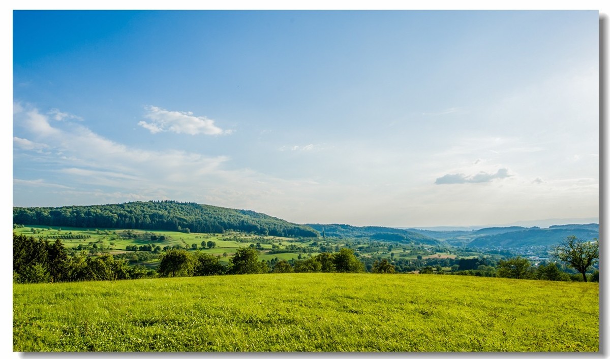 “田园交响乐”（德）