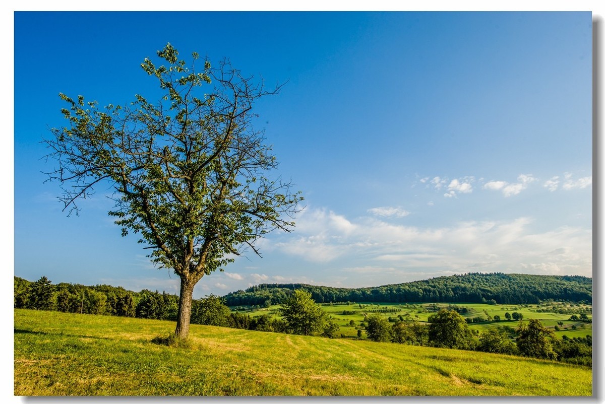 “田园交响乐”（德）