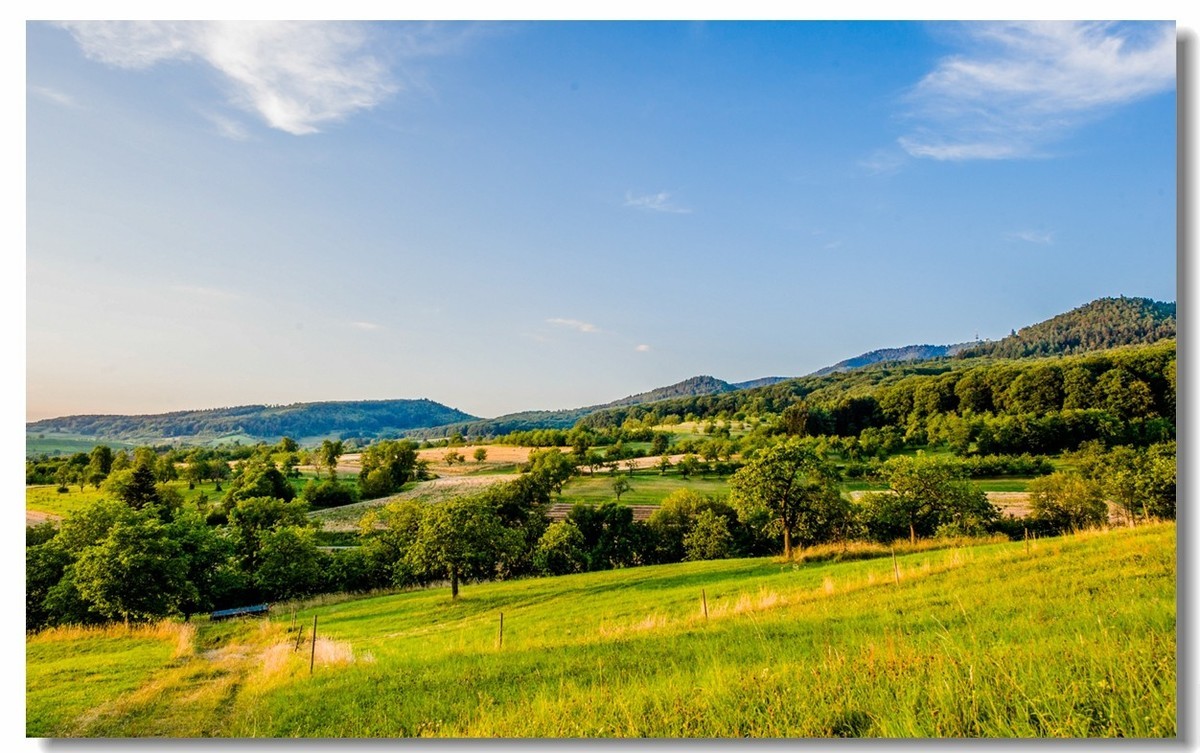 “田园交响乐”（德）