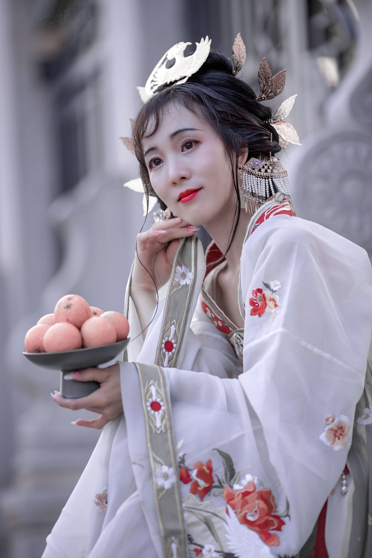 花恋蝶时蝶恋花