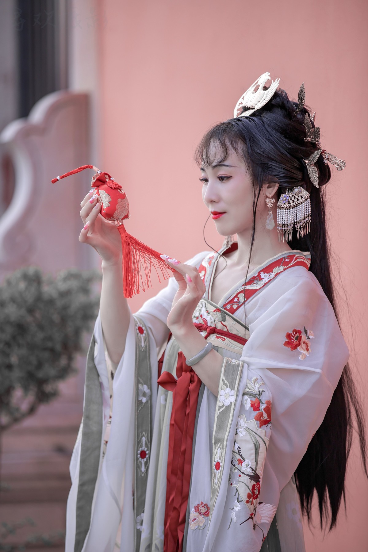 花恋蝶时蝶恋花