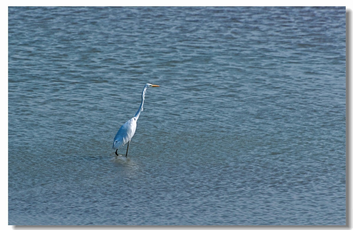 龙湖秋色（十八）