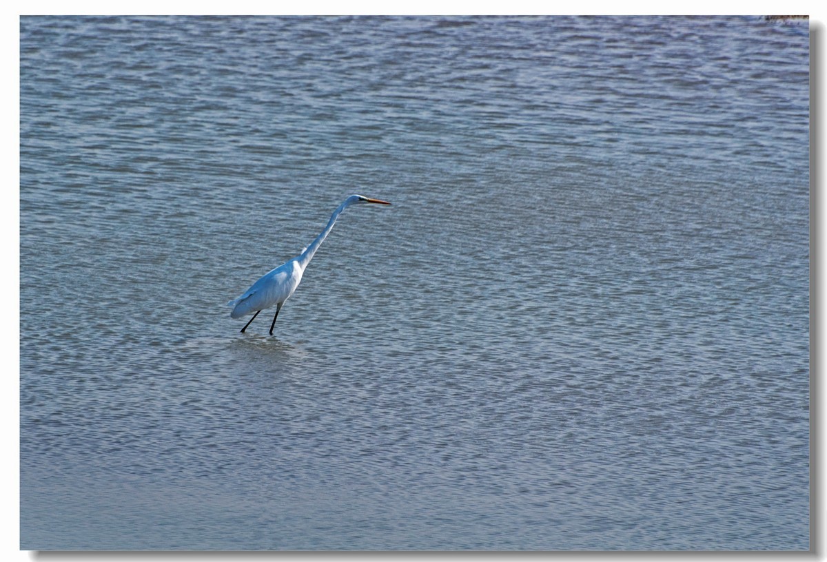 龙湖秋色（十八）