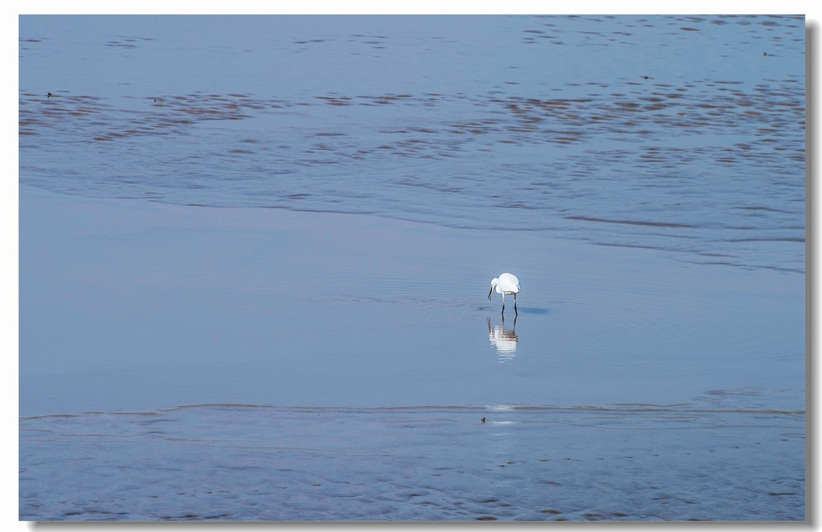 龙湖秋色（十八）