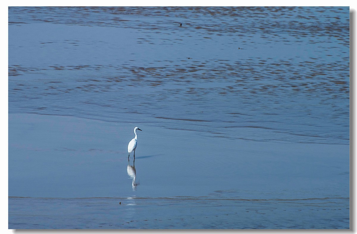 龙湖秋色（十八）