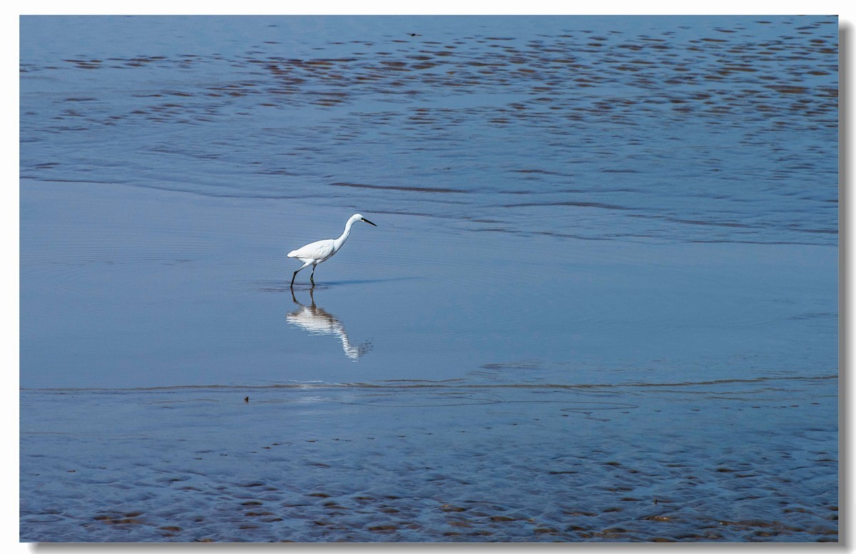 龙湖秋色（十八）
