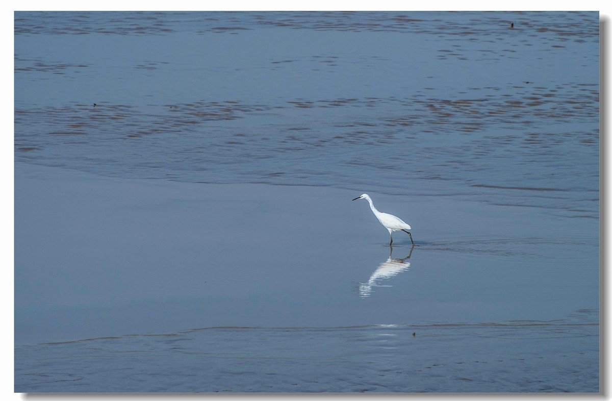 龙湖秋色（十八）